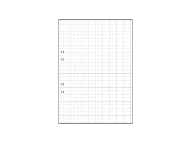 Lösblad A4 rutat 10x10mm hålat 500/fp